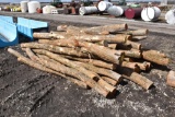(30) Hedge posts