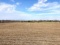 Tract 1 - 41.5 Acres+/- (Subject to Survey)