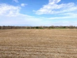 Tract 1 - 41.5 Acres+/- (Subject to Survey)