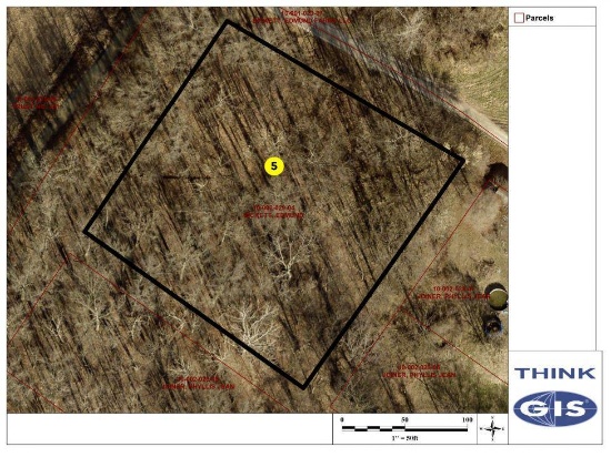 Lot 5: Unimproved 210' x 210' lot with mature standing timber