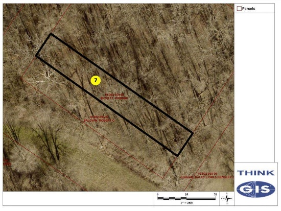 Lot 7: Unimproved 35' x 210' lot with mature standing timber