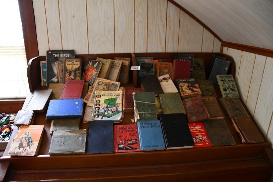 Quantity of older children's hardback books