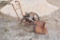 Bachtold walk-behind mower