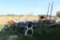 Pile Of Scrap Iron by Bin