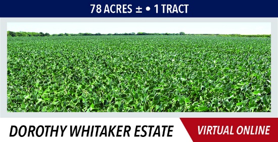 Hancock County, IL Land Auction - Whitaker