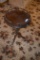 28 in. tall x 17 in diameter modern plant stand