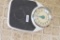 Taylor professional floor scale