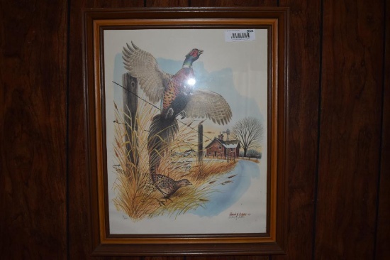 Patrick Costello 1975 pheasant print