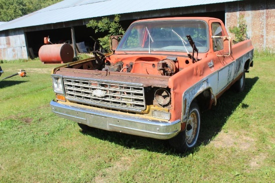 1976 Chevy Custom Deluxe 10