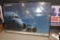 Boeing Framed Picture