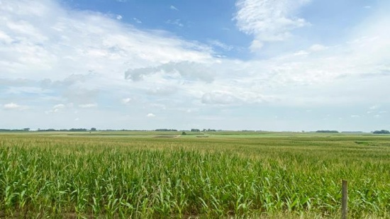 Tract 2 - 201.12 Surveyed Acres