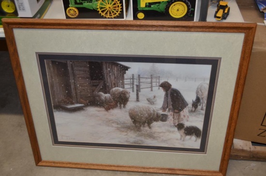 Farm print of sheep in frame