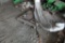 Stihl Gas Powered Pole Saw