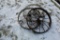 (3) Steel Wheels