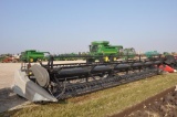AGCO 9250 30' flex draper head