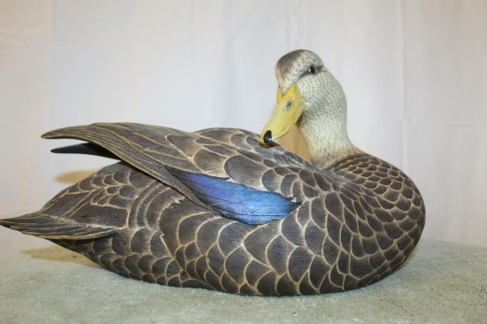 Duck Decoy