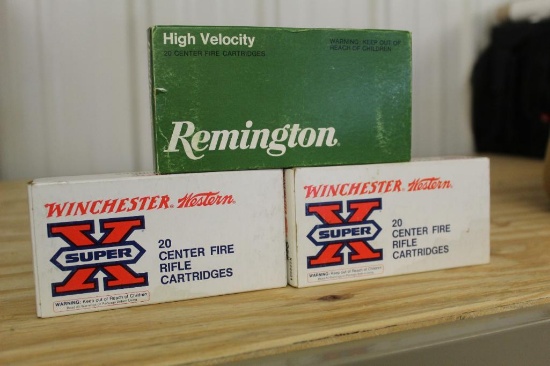 Winchester and Remington 22-250