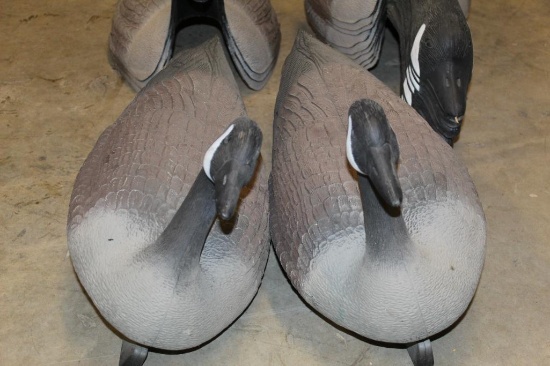 Goose Decoys