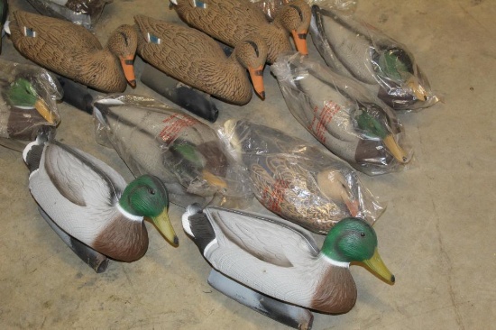 (14) Duck Decoys
