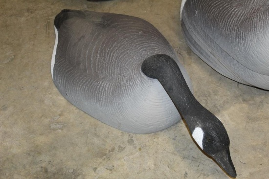 (12) Field Goose Decoys