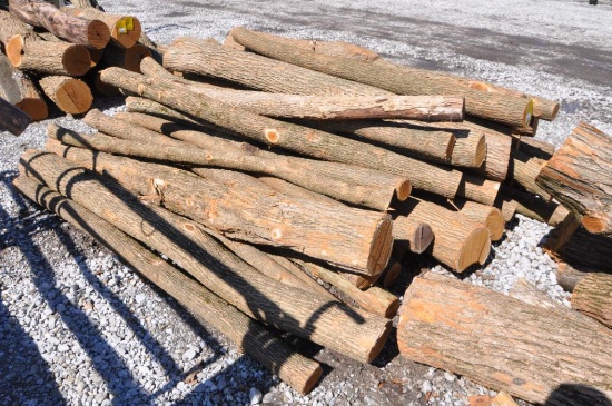(43) Hedge posts