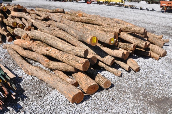 (51) Hedge line posts