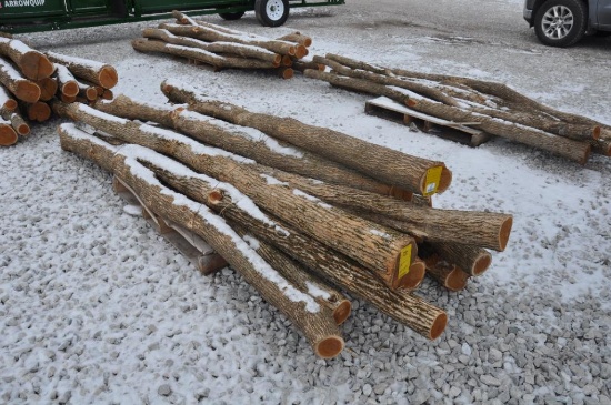 (10) Hedge posts