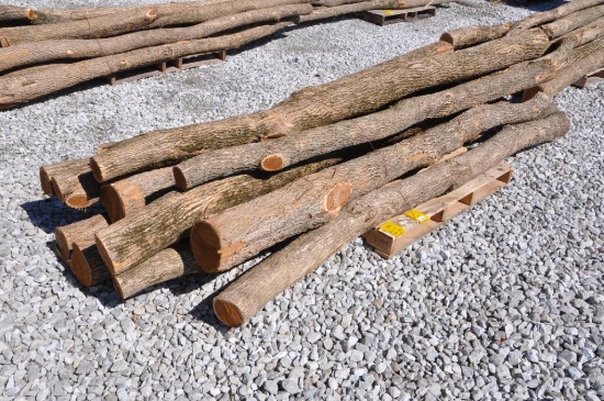 (12) Hedge posts