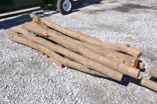 (12) Hedge posts