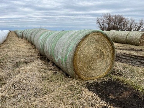 (20) Round bales of 2022 grass hay