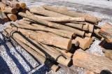 (43) Hedge posts