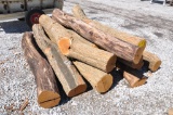 (12) Hedge posts