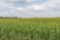 TRACT 4 - 27.01 SURVEYED ACRES