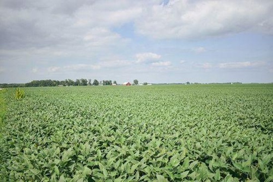 TRACT 1 - 71.02 SURVEYED ACRES