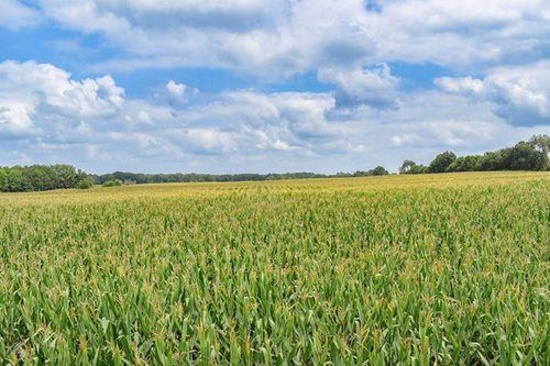 TRACT 3 - 51.30 SURVEYED ACRES