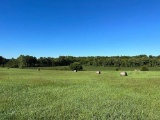 Adair County, MO Land Auction - Hammons