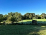 Adair County, MO Land Auction - Hammons
