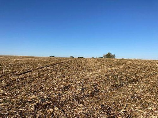 Tract 2 - 66.86 taxable acres+/-