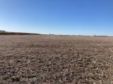 Tract 1 - 82.39 surveyed acres