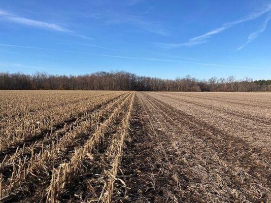 Tract 3 - 35.7 taxable acres+/-