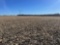 Tract 1 - 271.1 taxable acres+/-