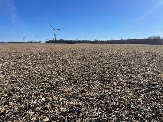 Tract 1 - 271.1 taxable acres+/-