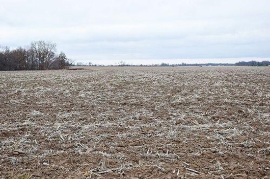Tract 1 - 45.5 taxable acres+/-