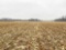 Tract 5 - 74.66 surveyed acres