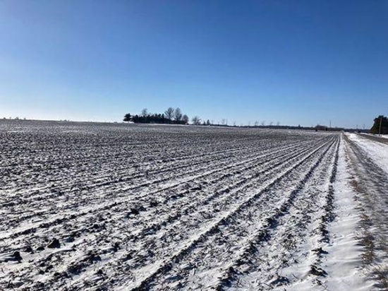 Tract 1 - 100.69 taxable acres +/-
