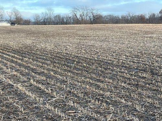 Tract 1 - 74 taxable acres+/-