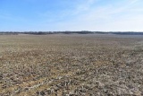 Tract 9 - 41.2 surveyed acres