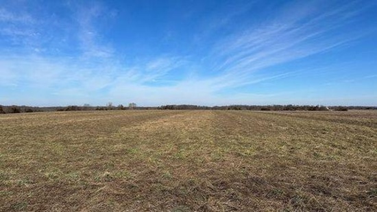 Tract 1 - 99 taxable acres+/-