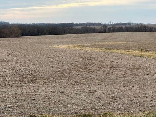 Tract 4 - 112.95 surveyed acres