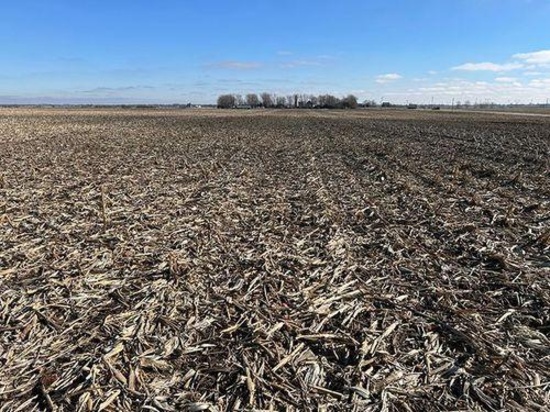 Tract 1 - 158.95 taxable acres+/-